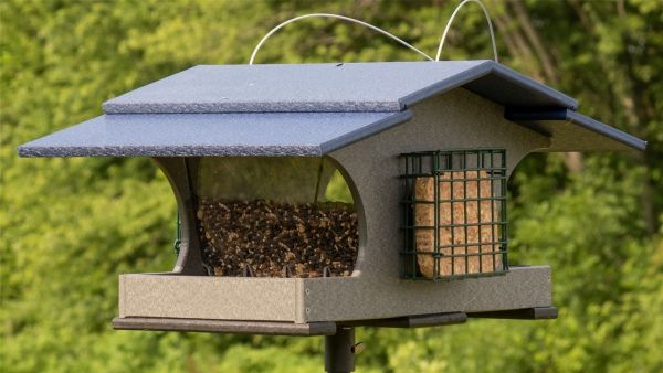 Recycled Poly Large Capacity Hopper and Suet Bird Feeder