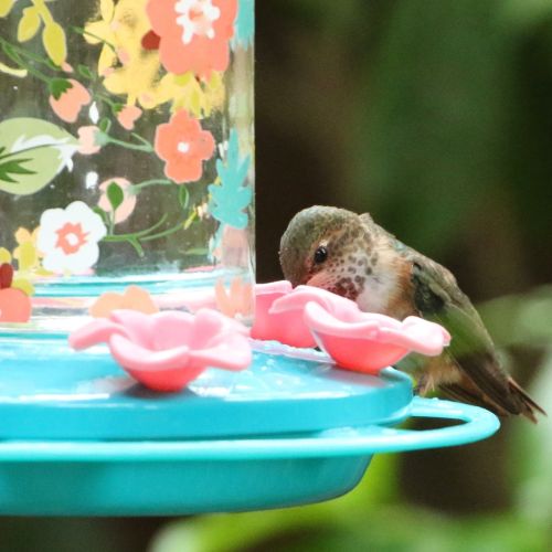Charming Peony Decorative Glass Hummingbird Feeder