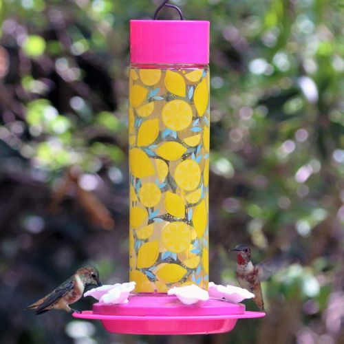 Lemonade Stand Hummingbird Feeder