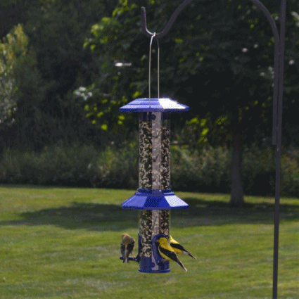 Funnel Flip Squirrel-Proof Bird Feeder