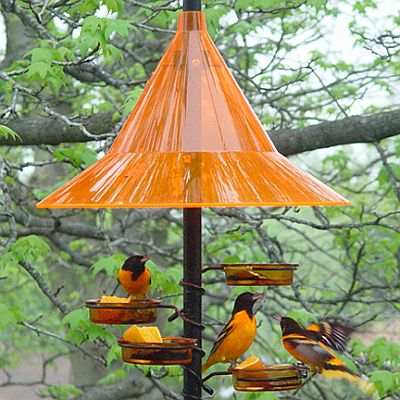 Oriole Feeding Station - Pole Mount Oriole Weather Hat, 1" OD Metal Pole w/Twist Ground Socket, and Pole Mount Orange Glass Dishes