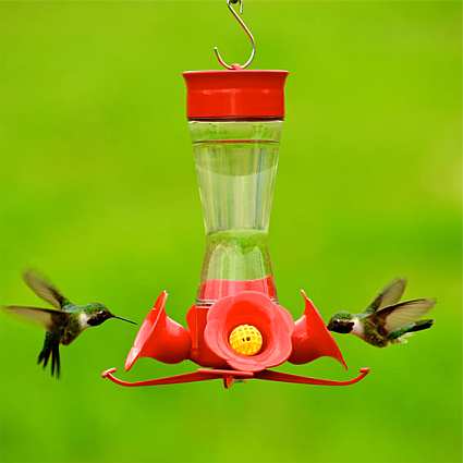 Four Fountain 8 Ounce Hummingbird Feeder