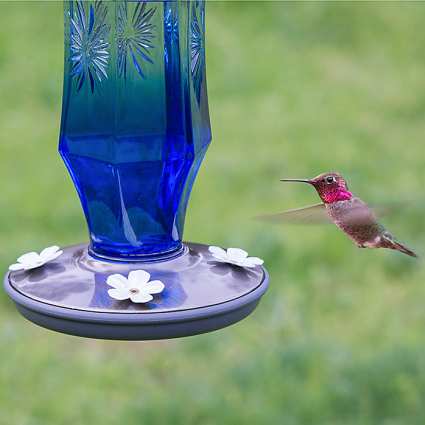 Sapphire Starburst Vintage Hummingbird Feeder