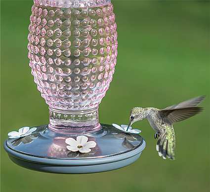 Cranberry Hobnail Vintage Hummingbird Feeder