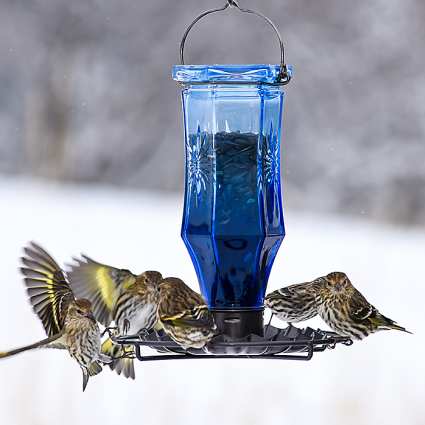 Sapphire Starburst Vintage Bird Feeder