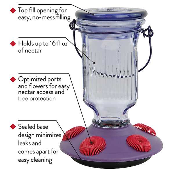 Lavender Field Top-Fill Glass Hummingbird Feeder