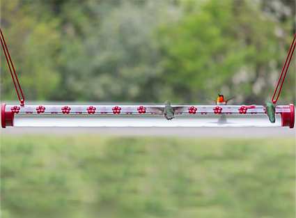 Hummerbar Hummingbird Feeder 2 ft.