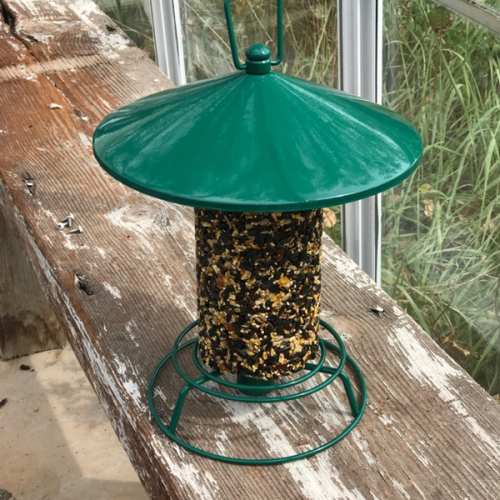 Seed Log Feeder