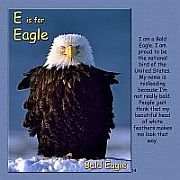 B is for Bufflehead - E is for Eagle