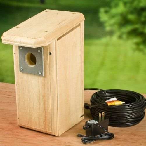 Backyard Birdhouse w/Hawk Eye HD Nature Camera