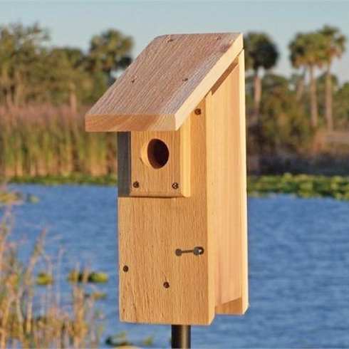 Cedar Select Eastern Bluebird House