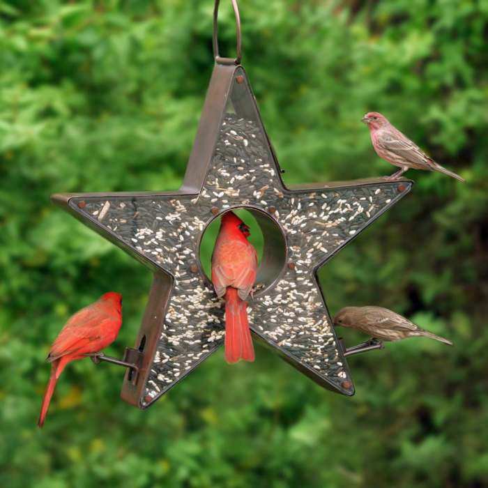 Fly-Thru Copper Bird Feeder Star