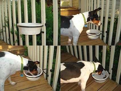 Pet Rockit Pet Dish Holder