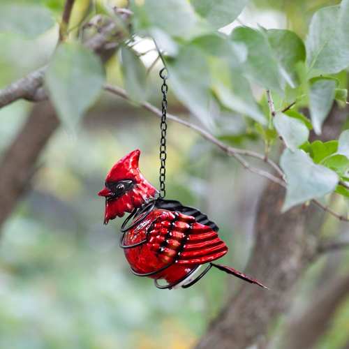 Cardinal Solar Bird Lantern 