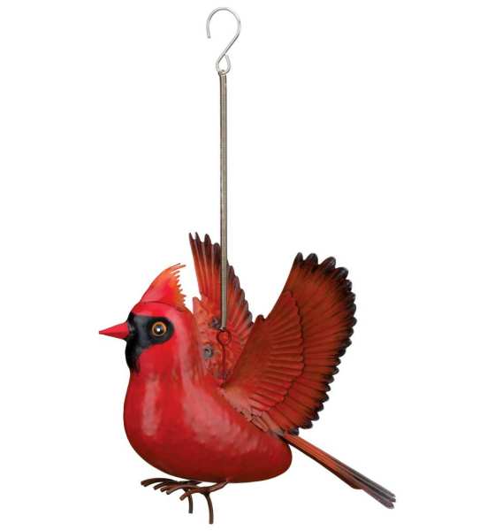 Cardinal Bouncie