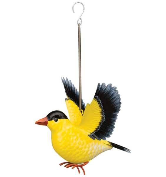 Goldfinch Bouncie