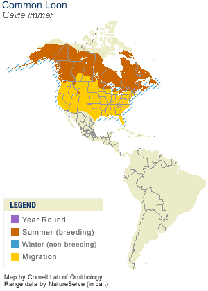 Coomon Loon Range Map