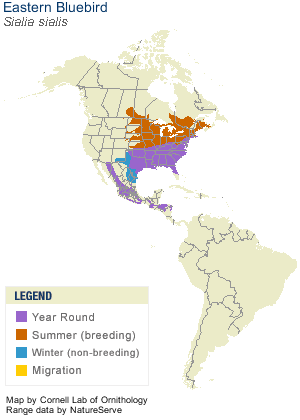 Eastern Bluebird Range Map