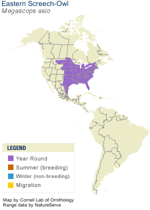 Eastern Screech Owl Range Map