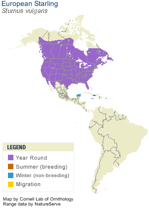 European Starling Range Map