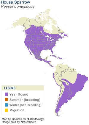 House Sparrow Range Map