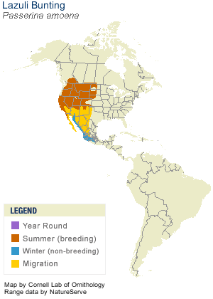 Lazuli Bunting Range Map