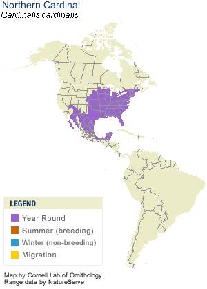 Northern Cardinal Range Map