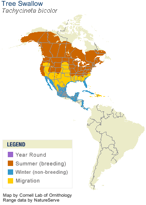 Tree Swallow Range Map