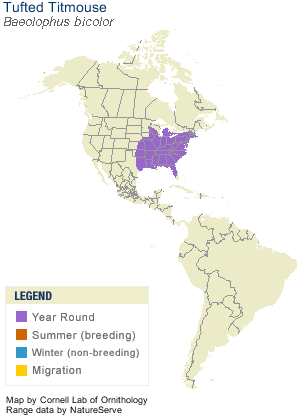 Tufted Titmouse Range Map