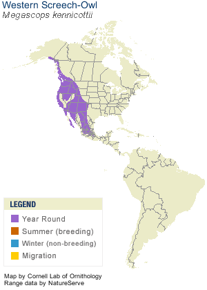 Western Screech Owl Range Map