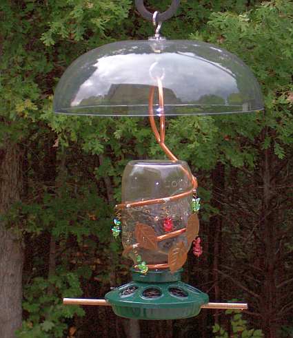 Ma's Canning Jar Bird Feeder with Aspects Weather Dome...The perfect pair!