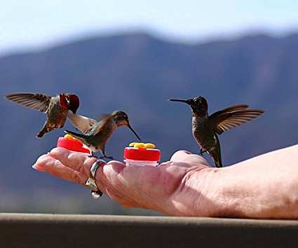 Nectar Dots Handheld Hummingbird Feeder
