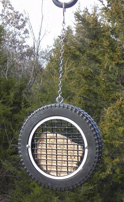 Wilbur's Woodpecker Wheel Suet Feeder