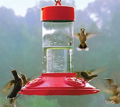 The HummerMagnet Hummingbird Feeder 