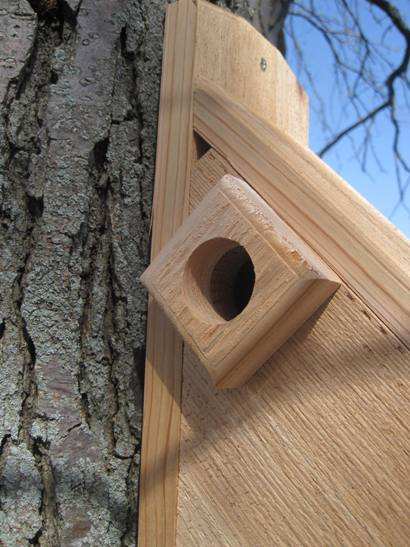 Select Cedar Nuthatch House with Side Entry