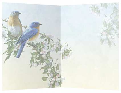 Tree Free Eco Thank You Notes Bluebird Branch