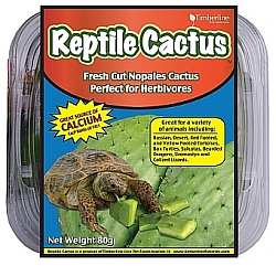 Reptile Cactus