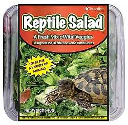 Reptile Salad