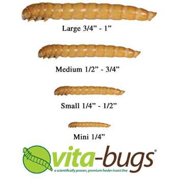 Vita-Bug Mealworm Sizes
