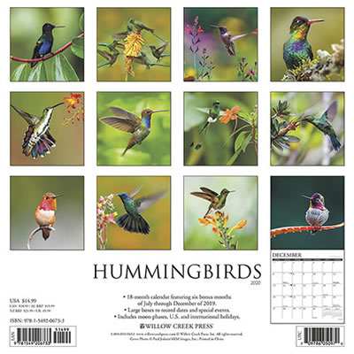 2020 Hummingbirds Birds Calendar
