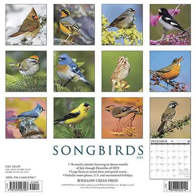 2020 Songbirds Audio Wall Calendar