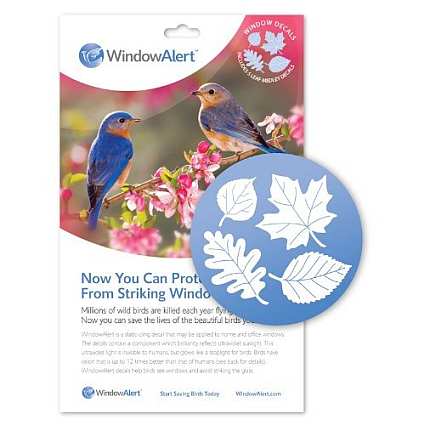 Protect Wild Birds from window strikes by using WindowAlert Butterfly decals 