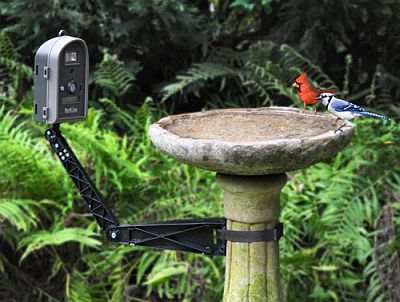 BirdCam 2.0 with Mounting Arm
