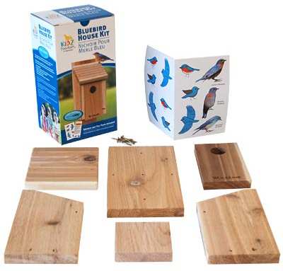 DIY Bluebird House Craft Kit