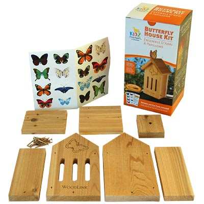 DIY Butterfly House Craft Kit
