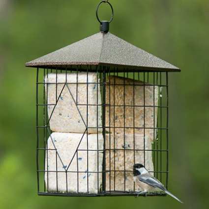 Wildlife Sciences Fly-Through Suet Cake Feeder